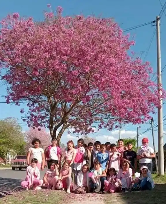 Integrantes de "Guerreras y Solidarias".