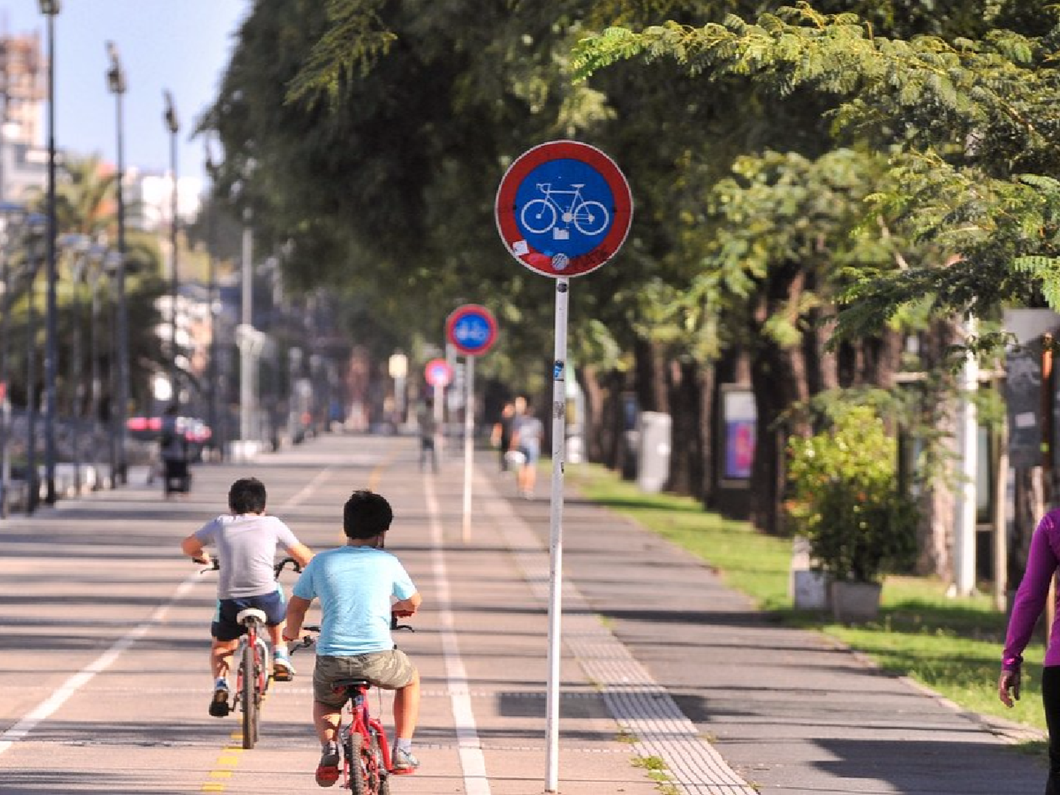 Córdoba, Buenos Aires, Caba y Santa Fe no autorizan salidas