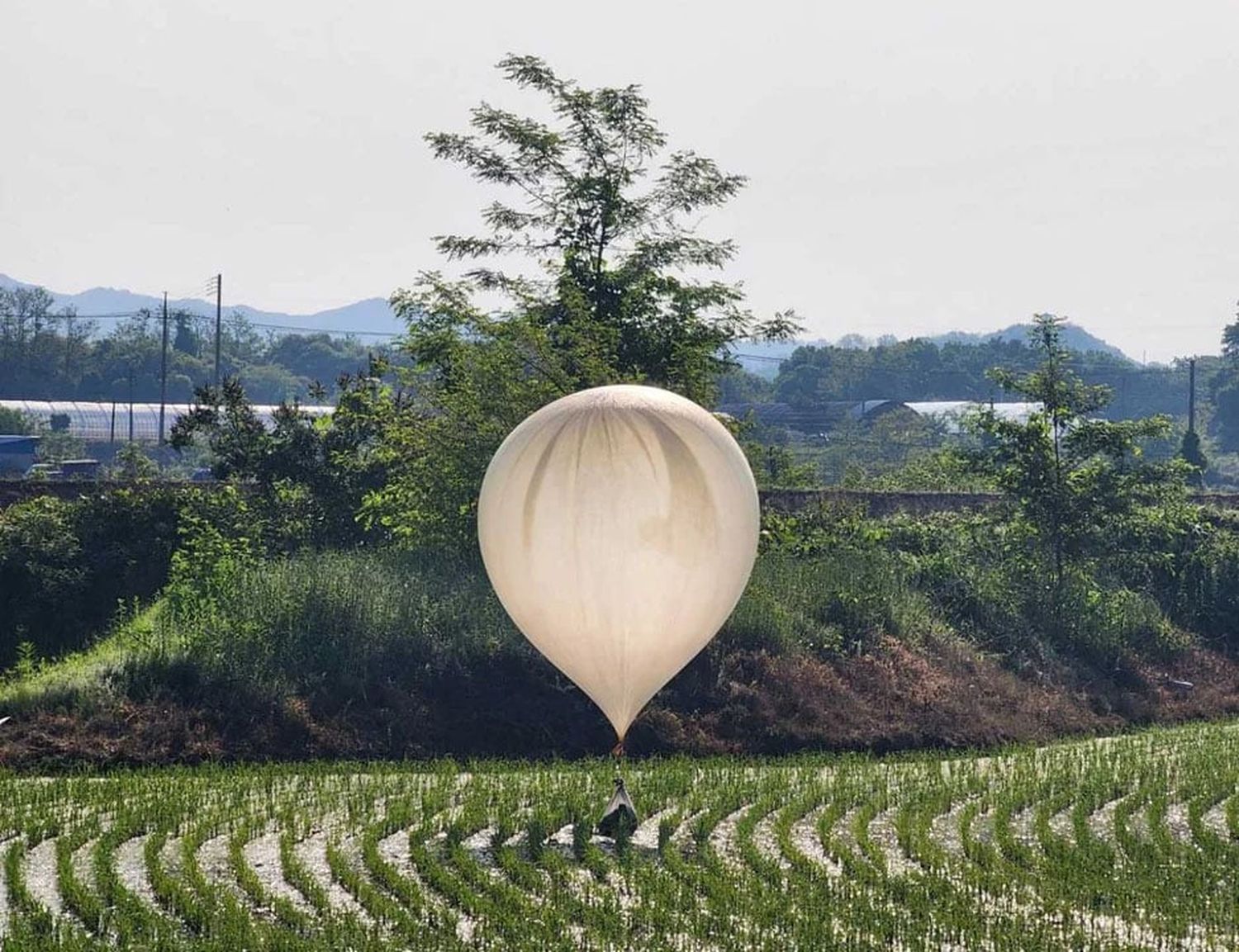 Corea del Norte envió unos 500 globos con basura a Seúl