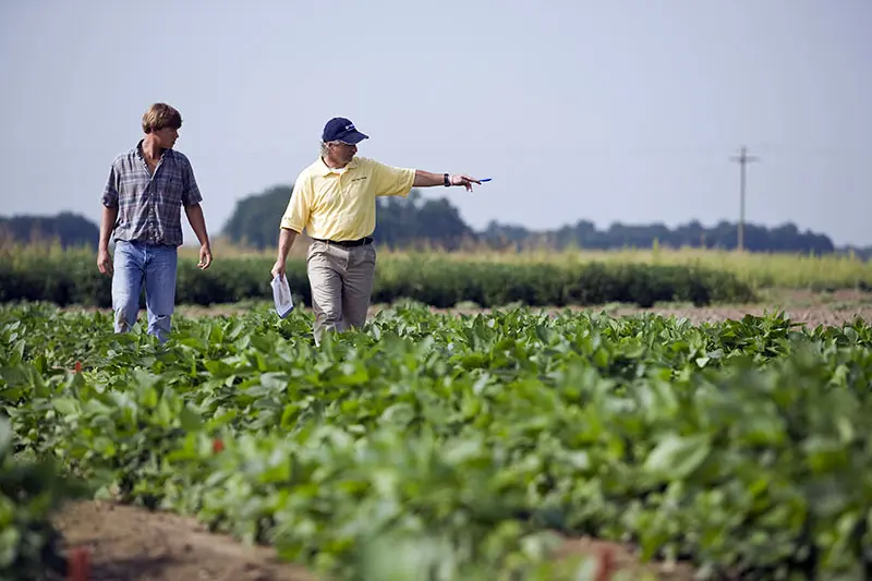 Conformidad y optimismo del sector agrícola