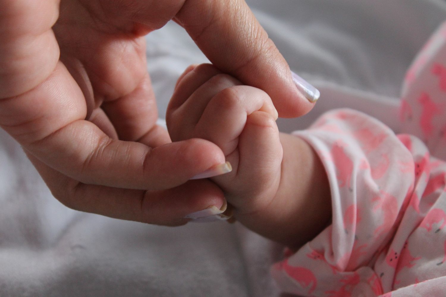 Una bebita de 18 meses murió tras ser picada por una araña