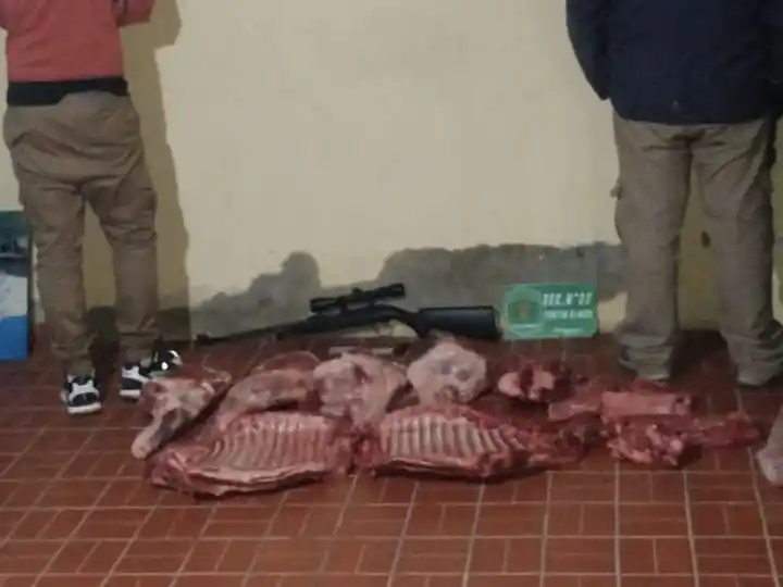 Hallaron carne, una carabina y municiones: atraparon a dos sospechosos