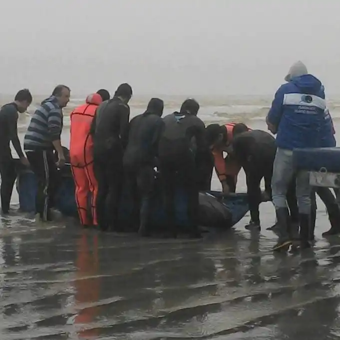 Las Toninas: Encontraron una ballena varada en la playa