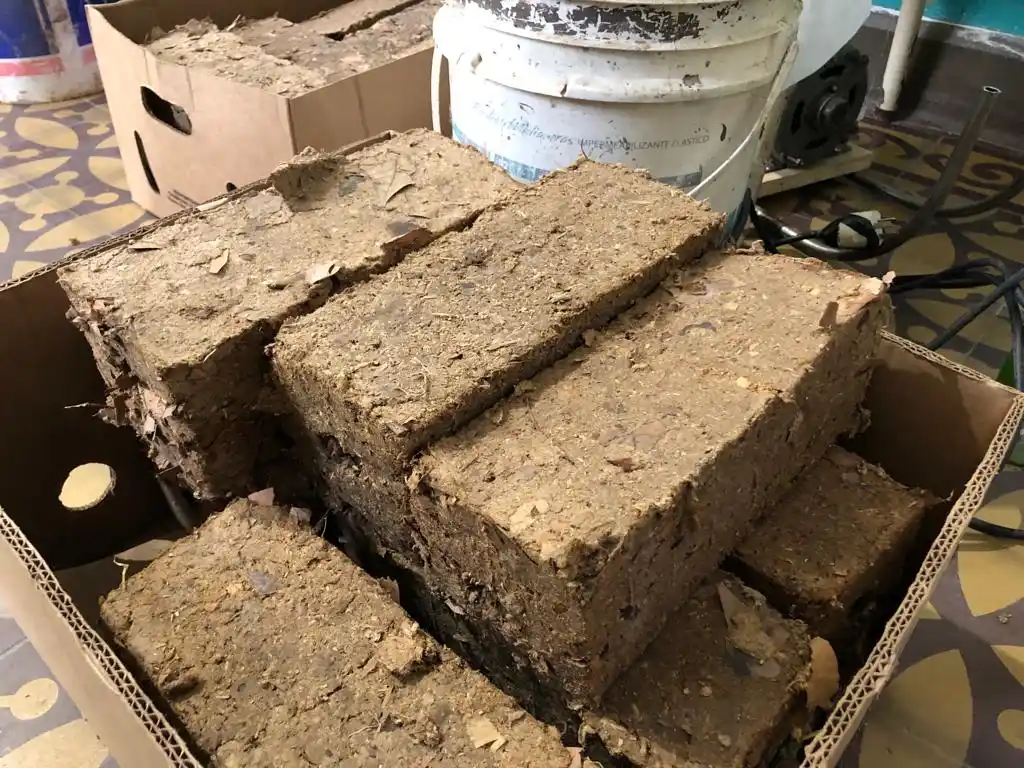 briquetadora cerro leones 12-07-23 - 5