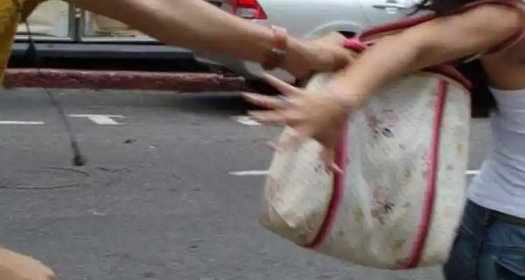 Ola de arrebatos: “A mi hija la tiraron al piso y le golpeaban la cabeza contra la vereda”