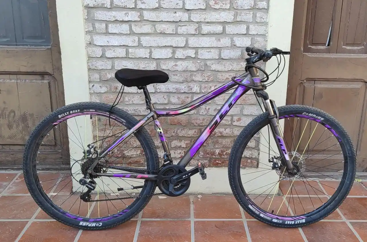 Bicicleta SLP color negra y lila sustraída el pasado 27 de julio