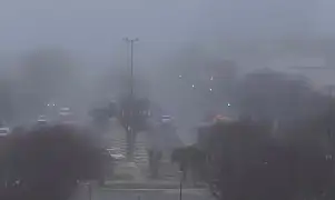 niebla