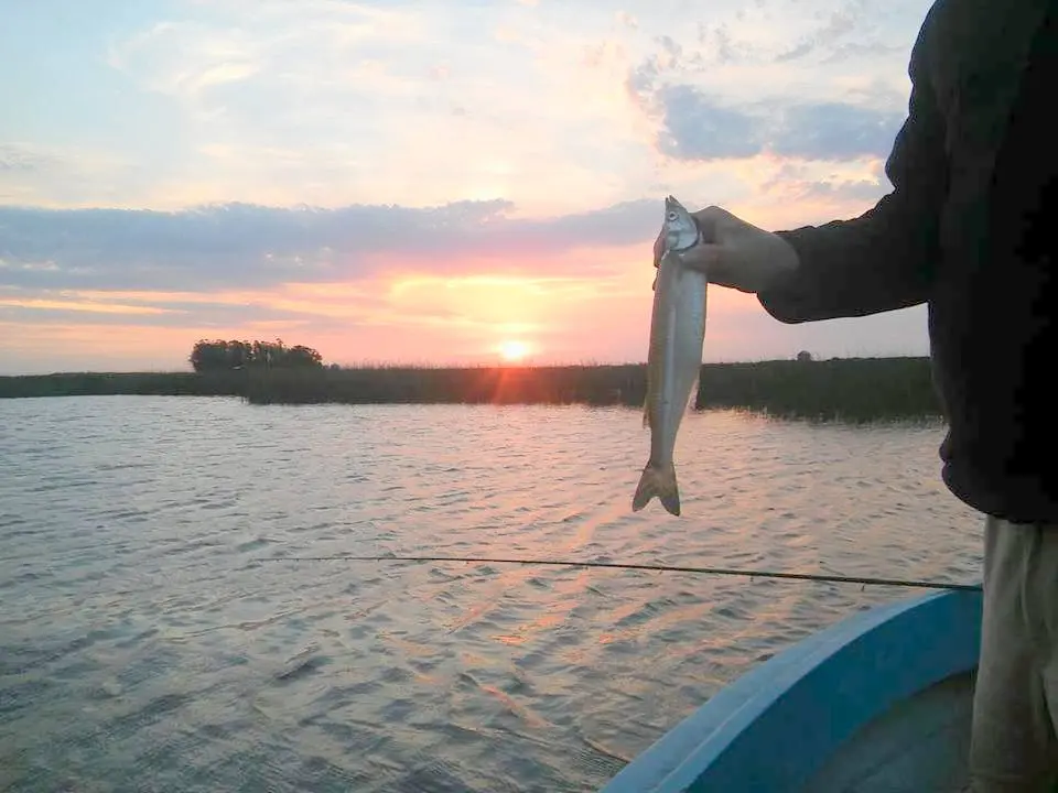 La pesca en lagunas, un atractivo para todo el año