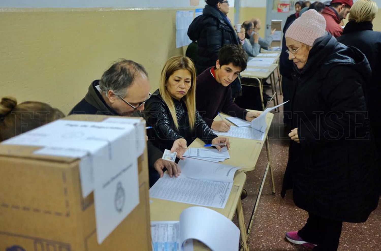 Elecciones: consultá quién ganó en tu mesa