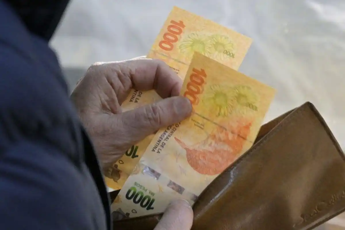 La actualización de las tarifas eléctricas y el manejo de los precios de
los combustibles son ejemplos de cómo las políticas económicas están siendo
adaptadas para enfrentar los desafíos planteados por la volatilidad del mercado y la devaluación.