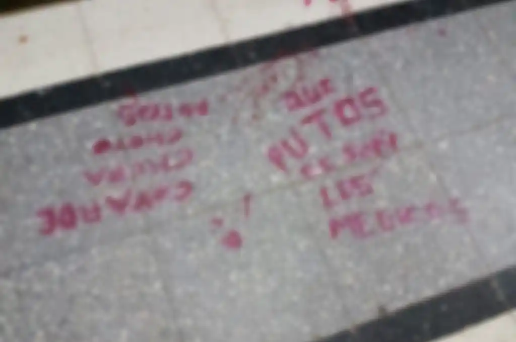 “Covardes chupa ch…”: un joven de 11 años pintó insultos contra los médicos en el Hospital de Niños