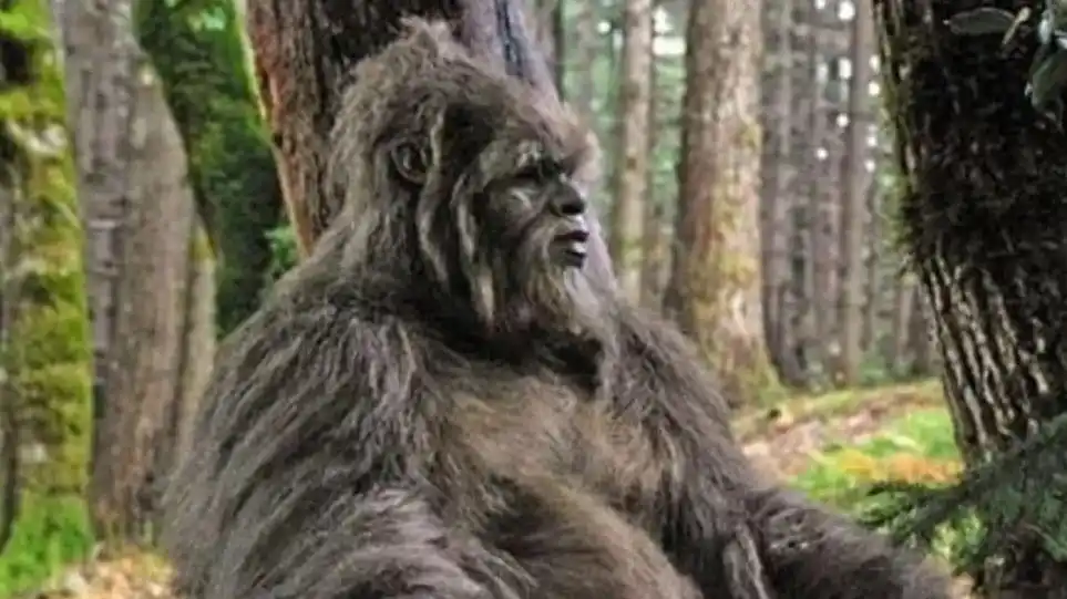 Aseguran haber visto un "ucumar", un animal mítico del norte argentino