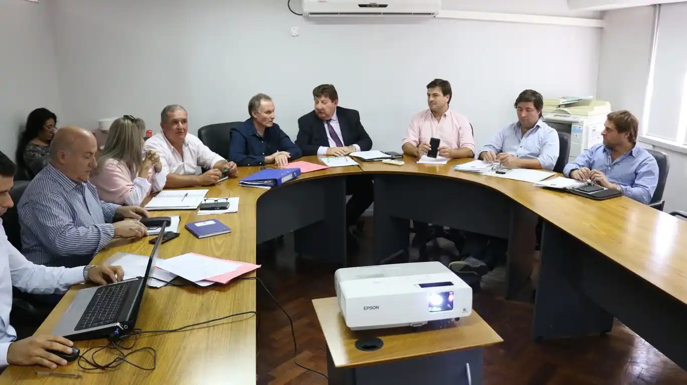 Senadores trataron un proyecto para reducir la tarifa eléctrica