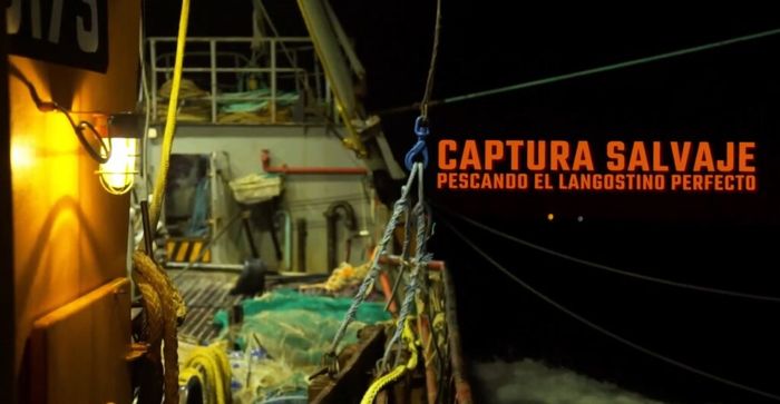 captura salvaje