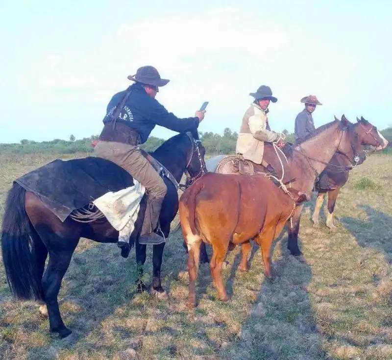 UEAR Riacho Negro recuperó 10 animales vacunos; hay tres detenidos