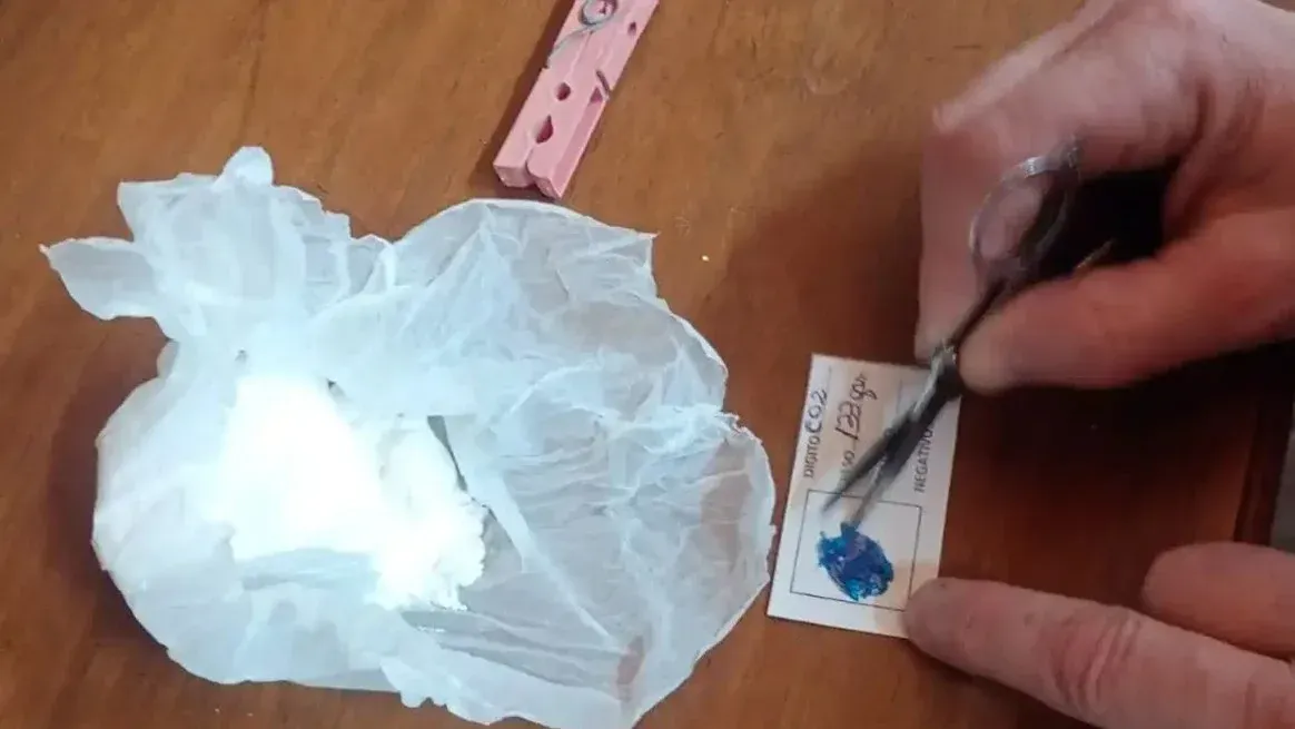 Parte de la droga incautada en el allanamiento.