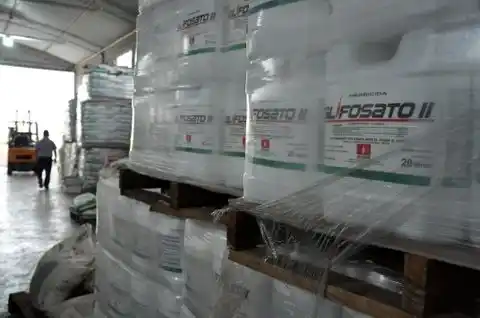 Crece la polémica por el uso de glifosato en Rosario