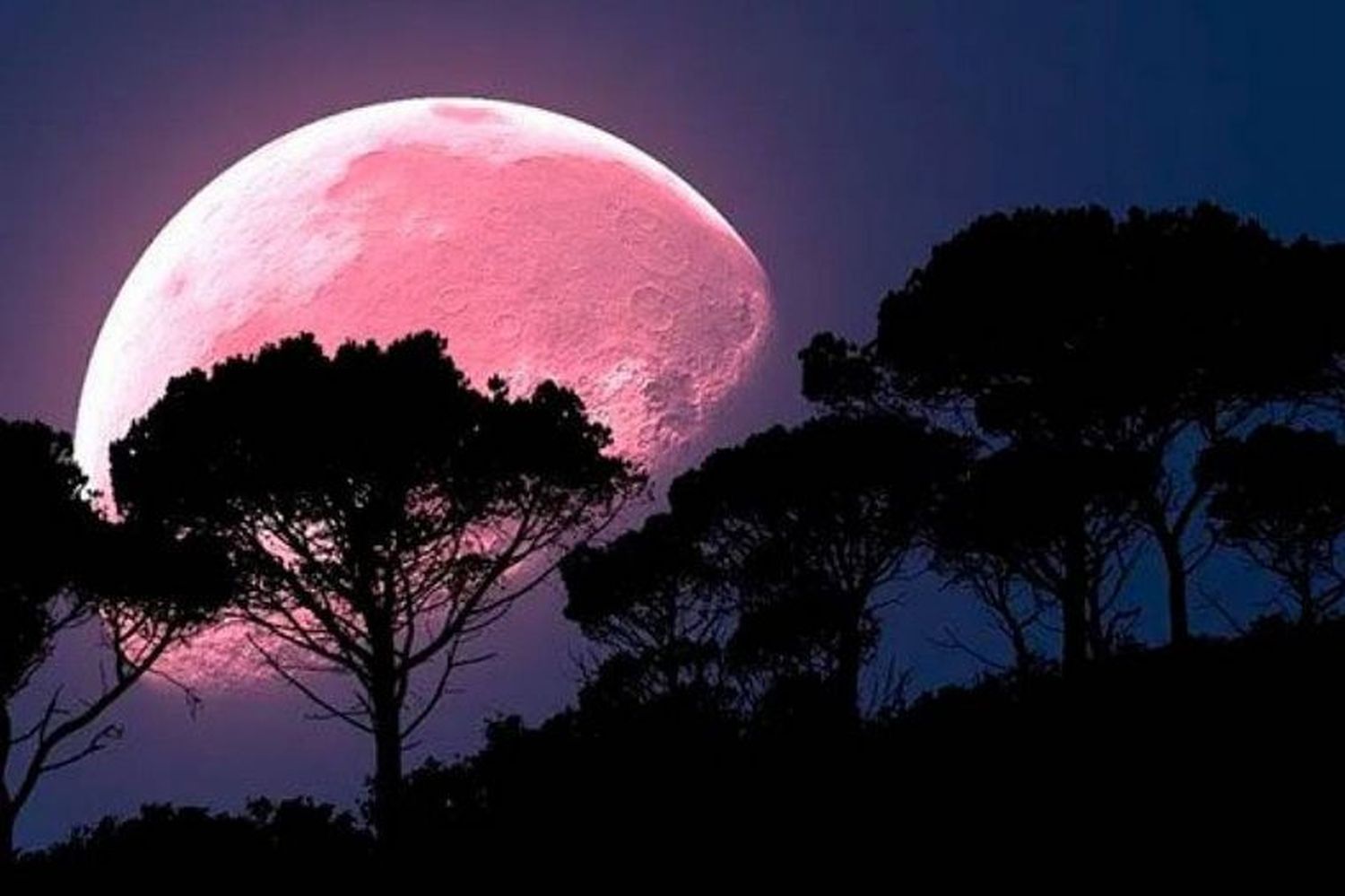 Se aproxima la “Superluna Rosa”: cuándo, dónde y cómo verla