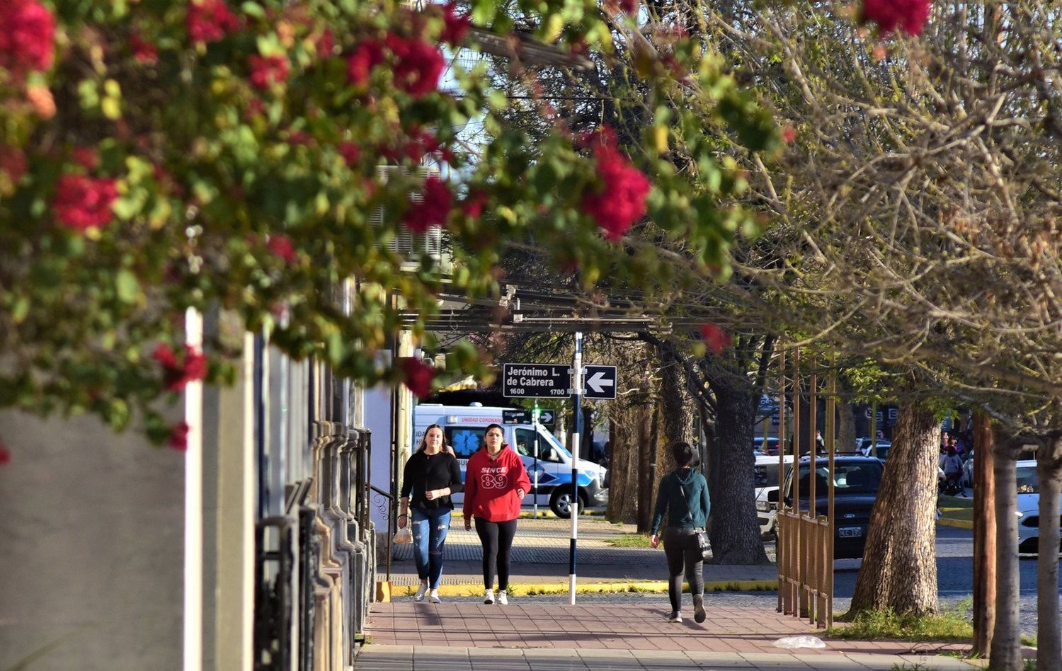 La temperatura máxima para hoy es de 25°C