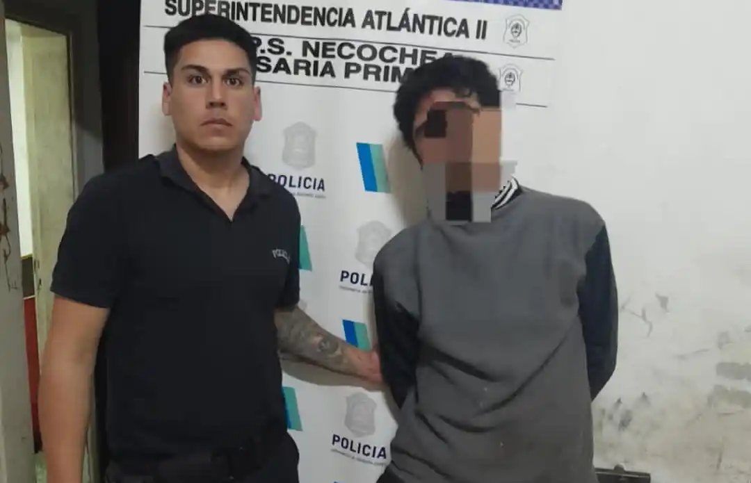 Golpeó a su pareja en un ojo y  con un palo de hockey a policías
