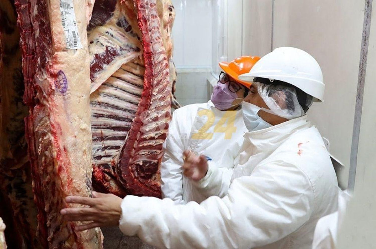 El Gobierno anuncia un Plan Ganadero y un nuevo esquema exportador de carne