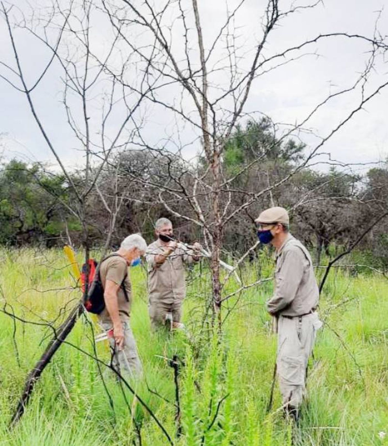 Investigadores de la UTN  estudian los efectos de las acacias en la región de Salto Grande