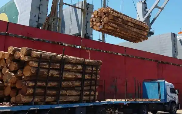 Pedirán informes para conocer el verdadero destino de la madera entrerriana