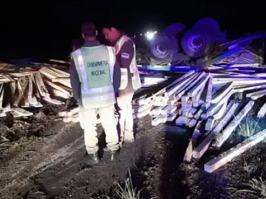 Volcó un camión con madera y debieron cortar el tránsito en Ruta 12
