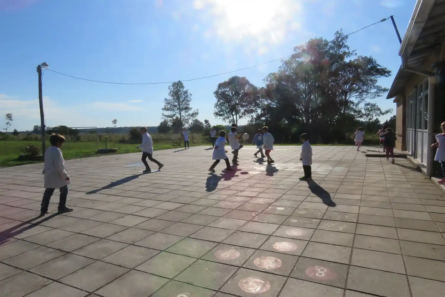 Las escuelas podrán seguir los partidos de Argentina en el mundial