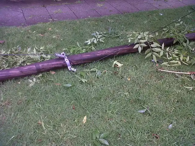 San Francisco Solano: El 40% de los vecinos está sin luz desde el temporal