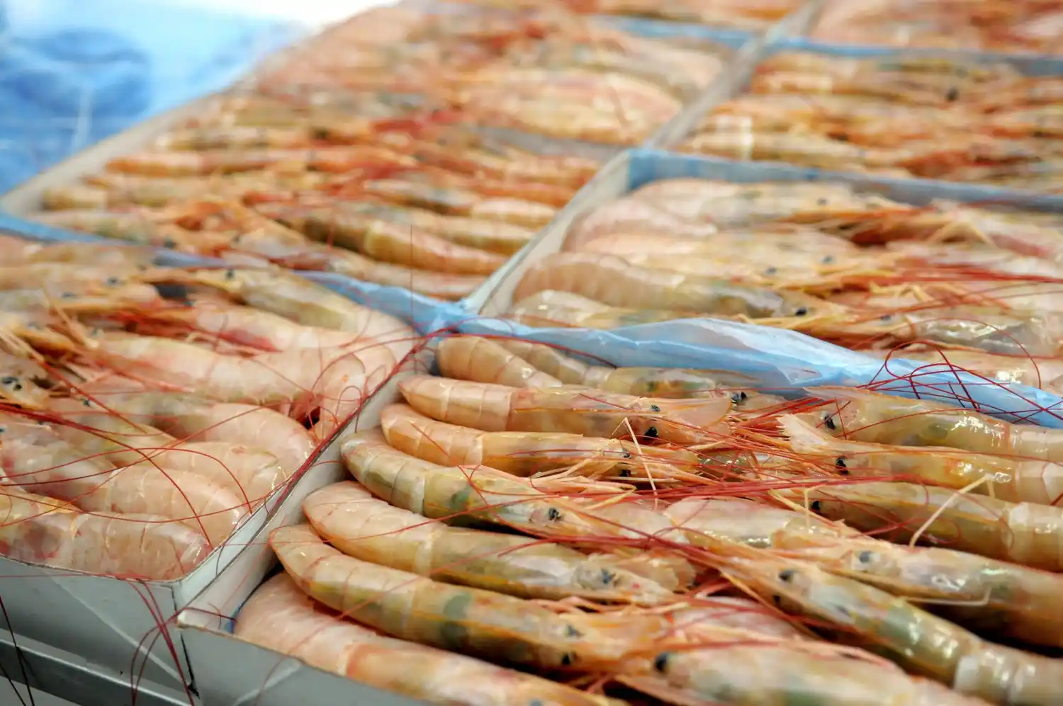 Las exportaciones de bebidas y alimentos crecieron un 3,5%