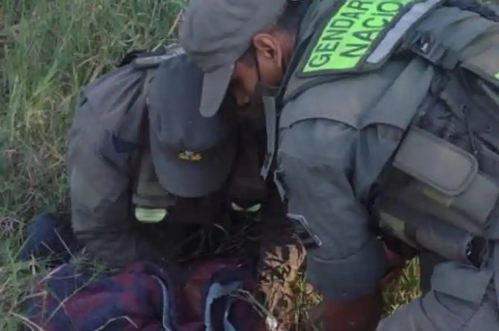 Rescatan a un oso melero que se encontraba atrapado en un incendio