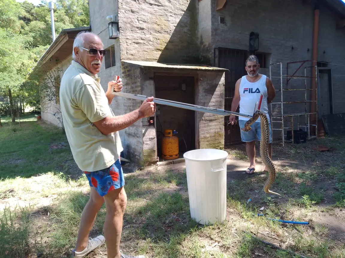 Apareció una yarará en un domicilio de Dunamar