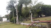Robaron cables en la cancha auxiliar del club Ferro