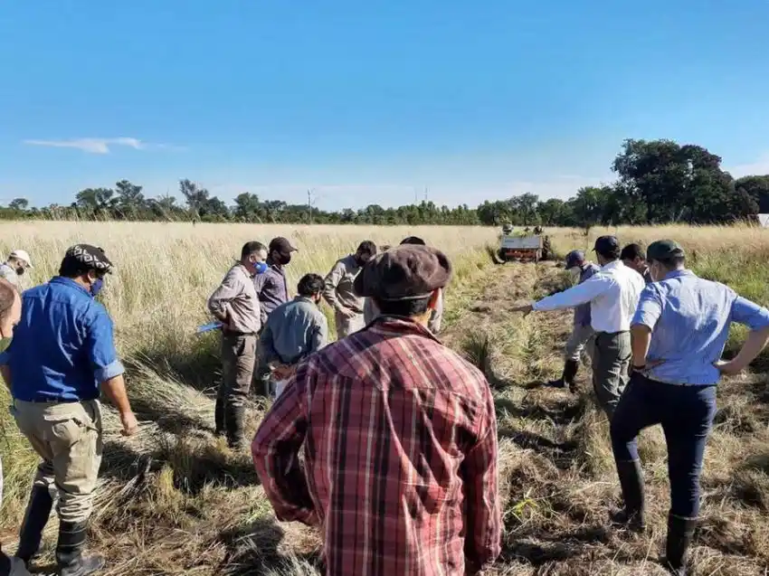 Se realizó un plenario de experiencias sobre la plantación y manejo del tangola