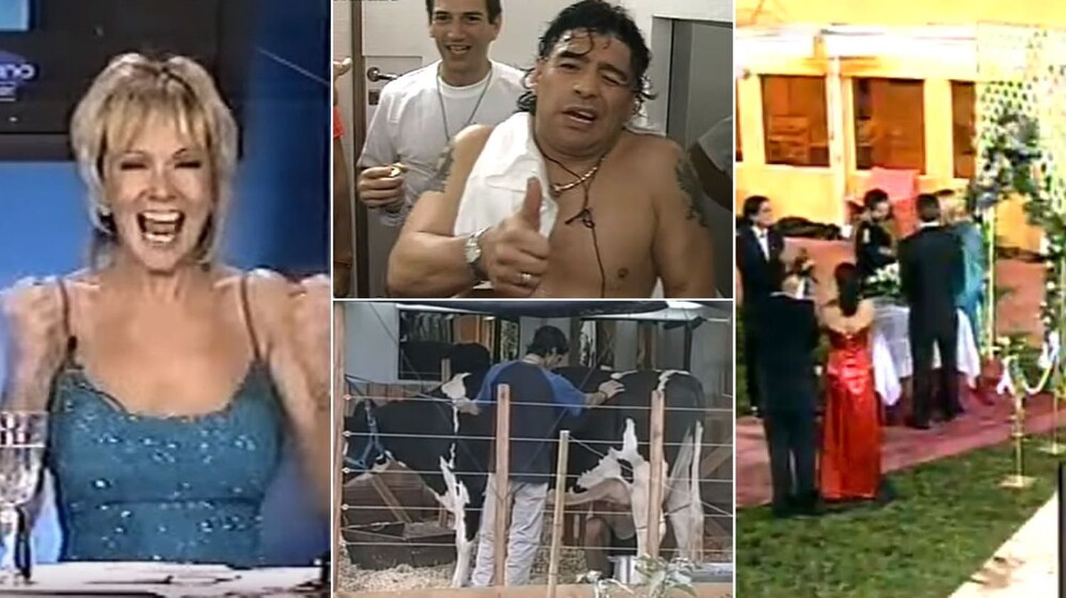 Una vaca adentro de la casa, el ingreso inesperado de Maradona y un premio de 200 mil dólares