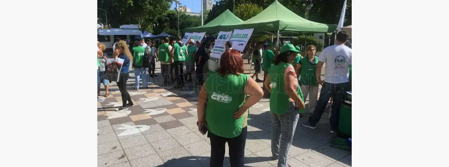 Docentes universitarios prometen más paros "si no hay otros números"