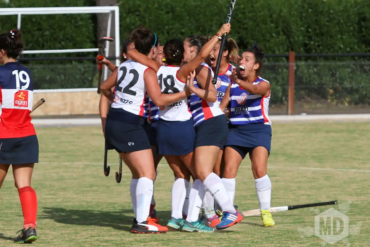 Semifinalistas del ascenso