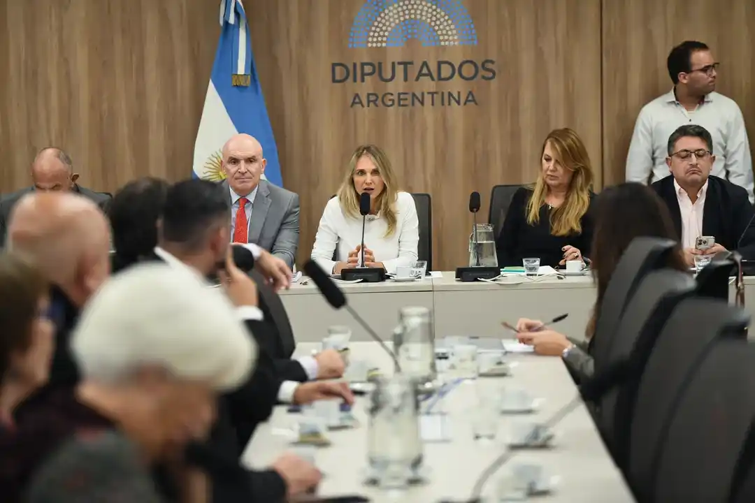 Los diputados tienen en estudio varios proyectos.