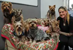 Mascotandil solicita colaboración para afrontar los gastos y deudas