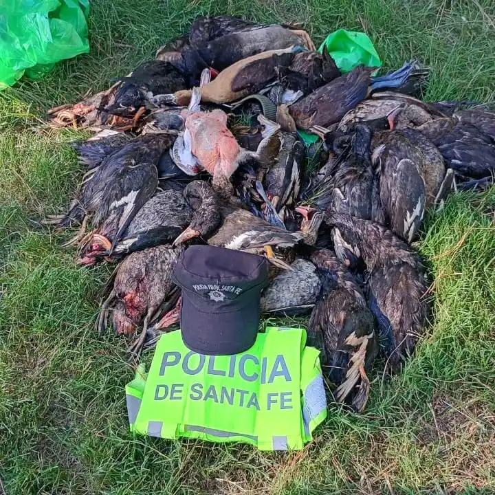 Guardia Provincial - 1