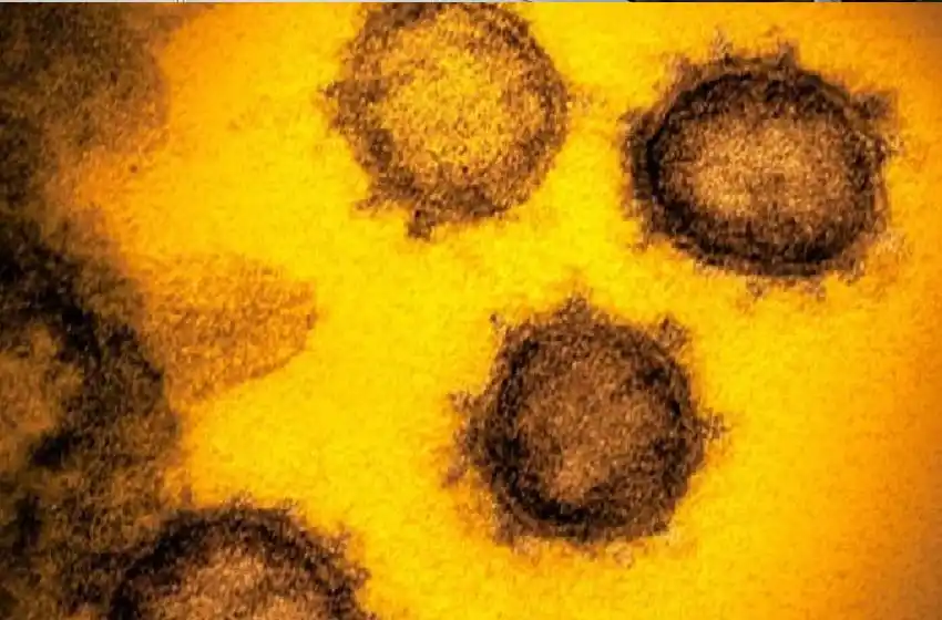 “Tenemos que familiarizarnos con las nuevas variantes del coronavirus”, aseguró un especialista