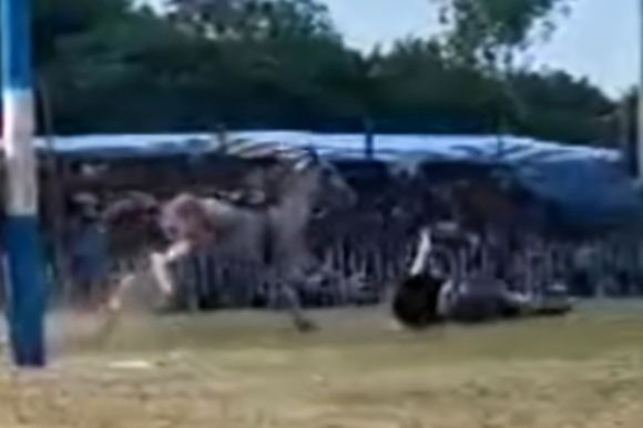 Así fue el duelo entre el caballo El Coronel y el jinete Cepillo Trevisán en El Fortín