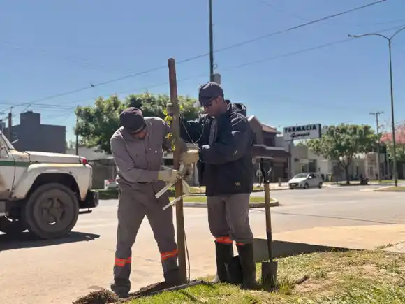 El Plan de Forestación 2025 avanza con más árboles para Rafaela