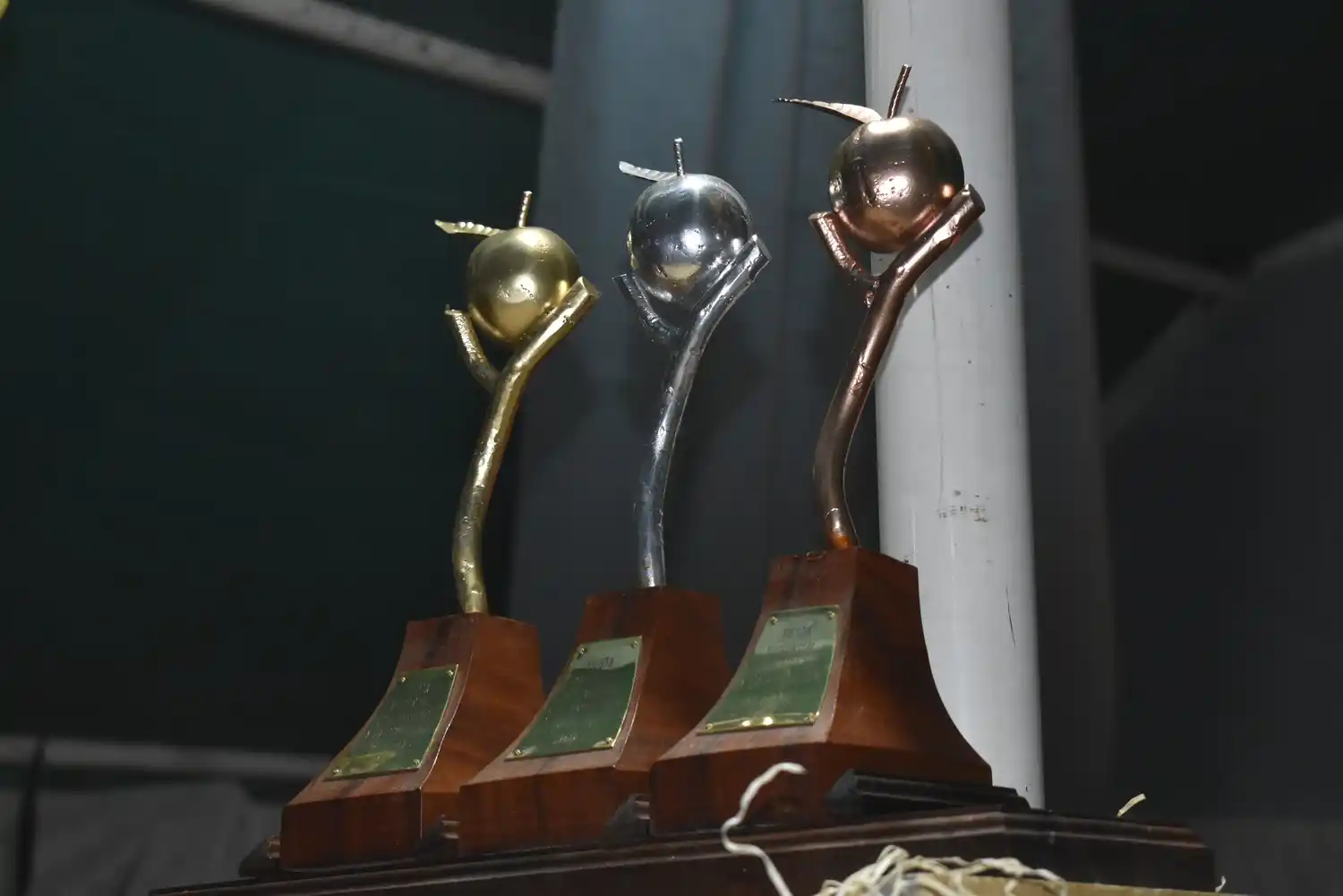 Fiesta del Durazno: La Campiña y El Nuevo Pampero, los premiados por la mejor producción