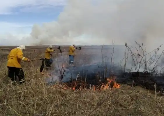  Entre Ríos registra un foco activo en la zona de islas