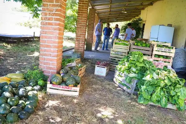 El Centro de Producción Municipal generó 6 toneladas de frutas y verduras