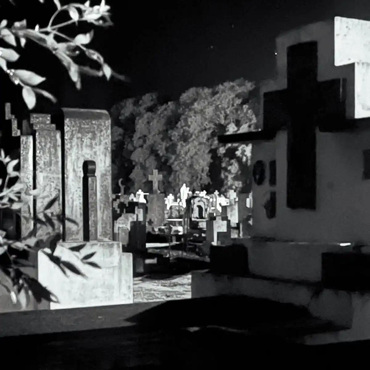 Visita. Al cementerio de Lobería