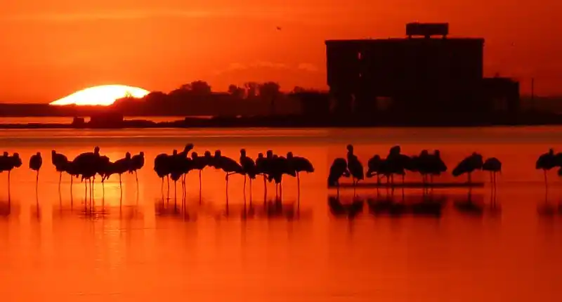 Un viaje a la riqueza que creó y dio forma a Melincué. Foto: Gentileza.