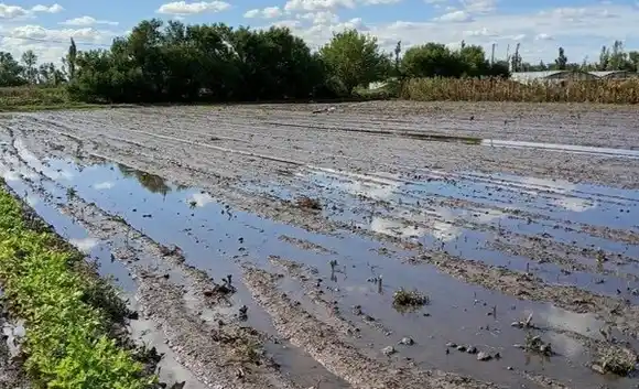 Villarino le exige al Gobierno Nacional ser incluido en el subsidio por el temporal del 7 de marzo